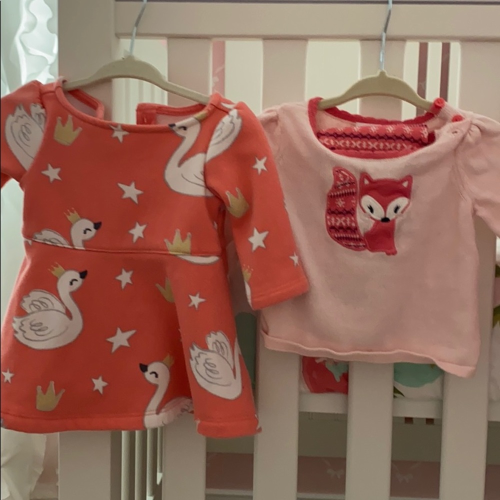 Pretty peach swan Gymboree dress and Fox set